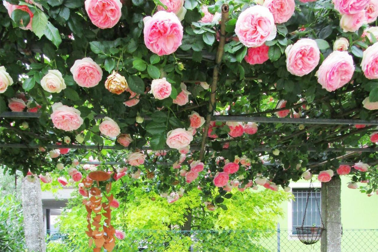 Bed And Breakfast Lucia 체세나 외부 사진